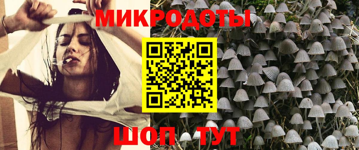 Кинель  Псилоцибиновые грибы ЛСД  Псилоцибиновые грибы Cubensis  Вход с VPN 