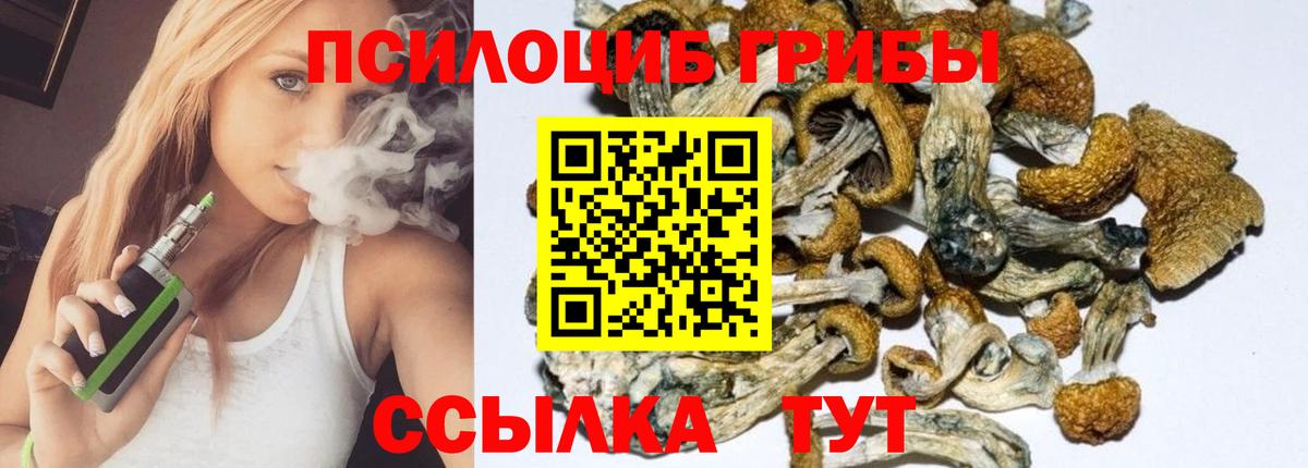 Кинель  LSD-25  ГАШ  Вход с VPN  Меф МЯУ МЯУ   Мефедрон  Бошки Шишки 